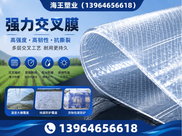 寒亭区PET离型膜展示图